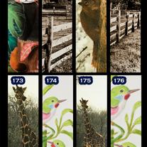 Bookmark | (individual)