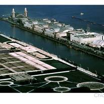 Chicago Navy Pier