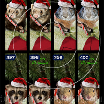 Bookmark | (individual)