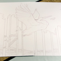 Original Pages: Signal 11 & 12