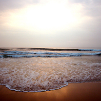 India_beach_preview_medium