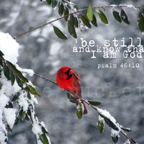 8x10 Prints of Birds and Scripture