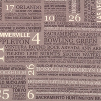 Fat Quarter-Hometown Town Square in Mist by Sweetwater/546026