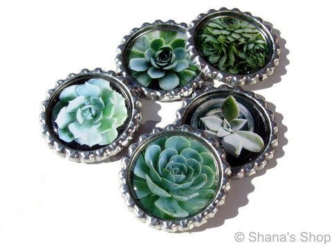 Succulents for your Fridge - Bottle Cap Magnet Set - Set of 5