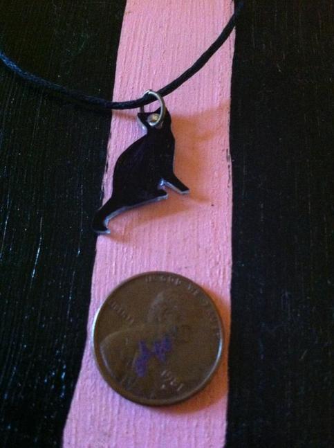 Black Cat Crossed Your Path