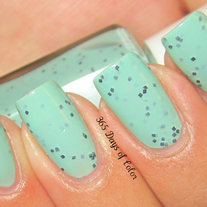 Mint Chip Mini