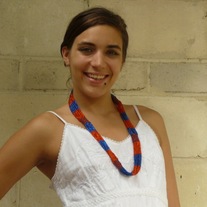 Gator 16-Strand Necklace- Narrow Bands