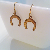 Horseshoe Earrings