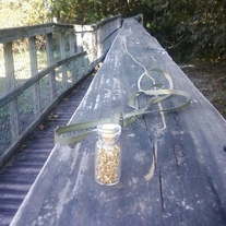 Gold Vial Necklace