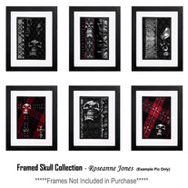 Framed-skull-collection_medium
