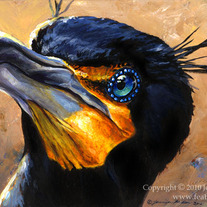 "Double Crested Cormorant" Acrylic Painting
