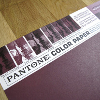 Vintage PANTONE® poster - Pantone 216 (1970)