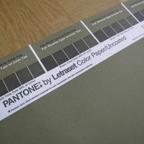 Vintage PANTONE® Poster - Pantone 5825 U