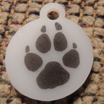 Wolf_medium