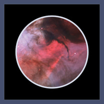 Orion Nebula M42, NGC 1976