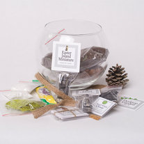 Desktop Terrarium Kit in a Glass Bowl