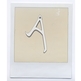 A_neckstainlessback_small