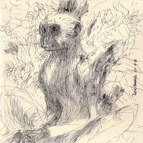 Drawing 0135
