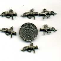 Charms037_medium