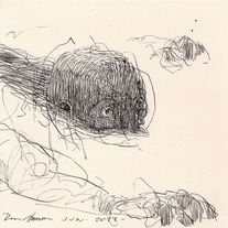 Drawing 0632