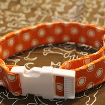 Creamsicle Collar: Medium