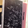 Holiness Church of the Valley/Pornography (Spring Street) - Thumbnail 1