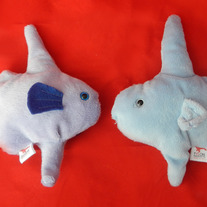 Ocean Sunfish Beanies