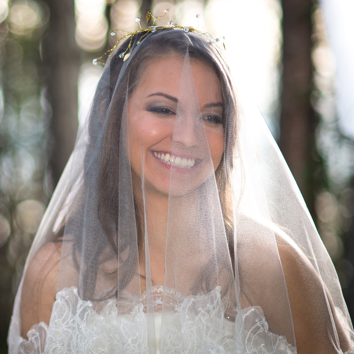 Gilded Branches Jeweled Bridal Crown in Gold or Silver · Rose Red
