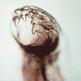 Hookworm2_small