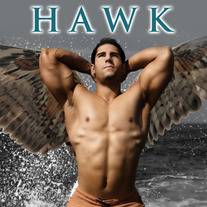 Eyes Of A Hawk