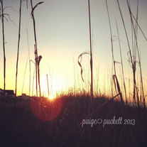 Beach Sunrise 8x8 or 8x10 inch Photograph