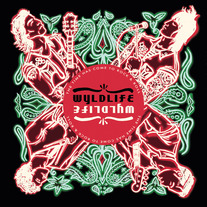 The Time Has Come to Rock & Roll - CD