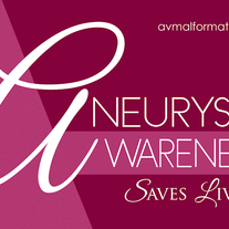 "Aneurysm Awareness Saves Lives" Sticker (Magenta)