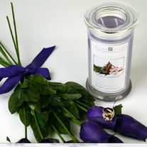 Vanilla Lavender