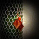 Spice_20diamonds_203_small
