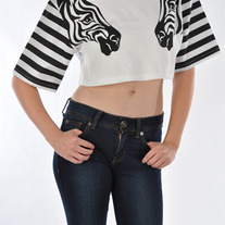 Zebra Crop 