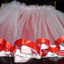 Red/White TuTu-Mudpie Size 12-18 Months