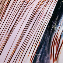 Abstract, 35mm Color