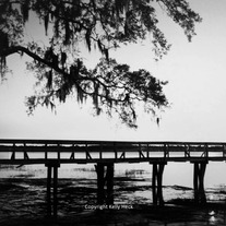 Pier, Medium Format