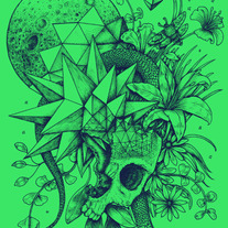 Fractal Skull & Snake w/ Platonic Moth on Full Moon medium photo