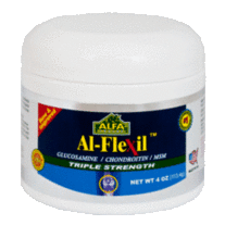 Alflexil Glucosamine Chondroitin MSM - 4 oz