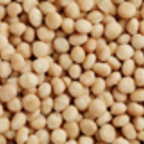 Macadamia-kernels-th_medium