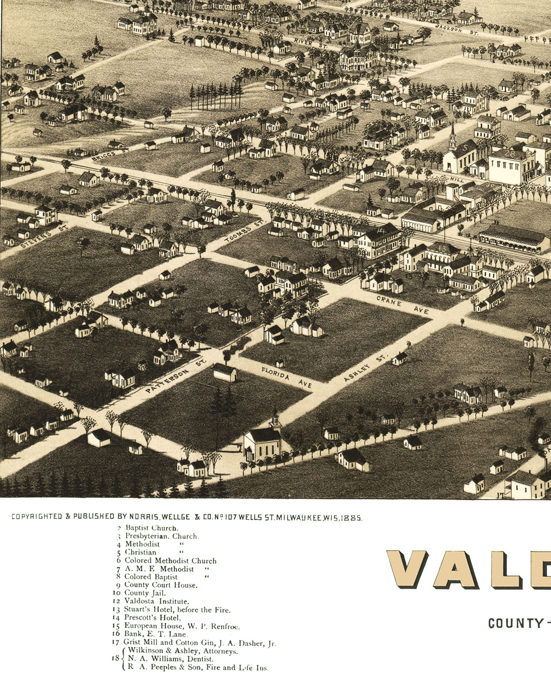 Valdosta, in 1885 Bird's Eye View Map, Aerial, Panorama
