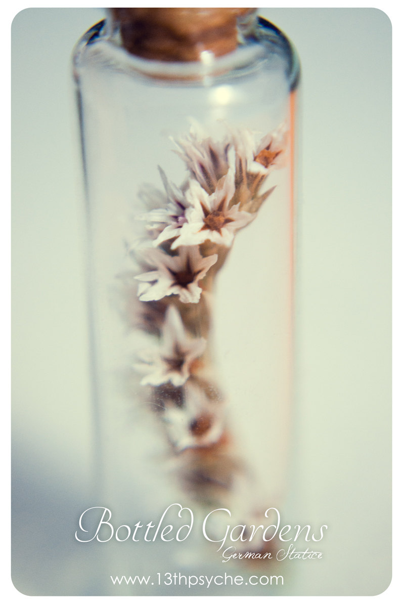 Tiny white flower Bottle necklace.Glass bottle pendant.Cute Necklace