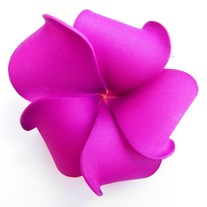 Purple_medium