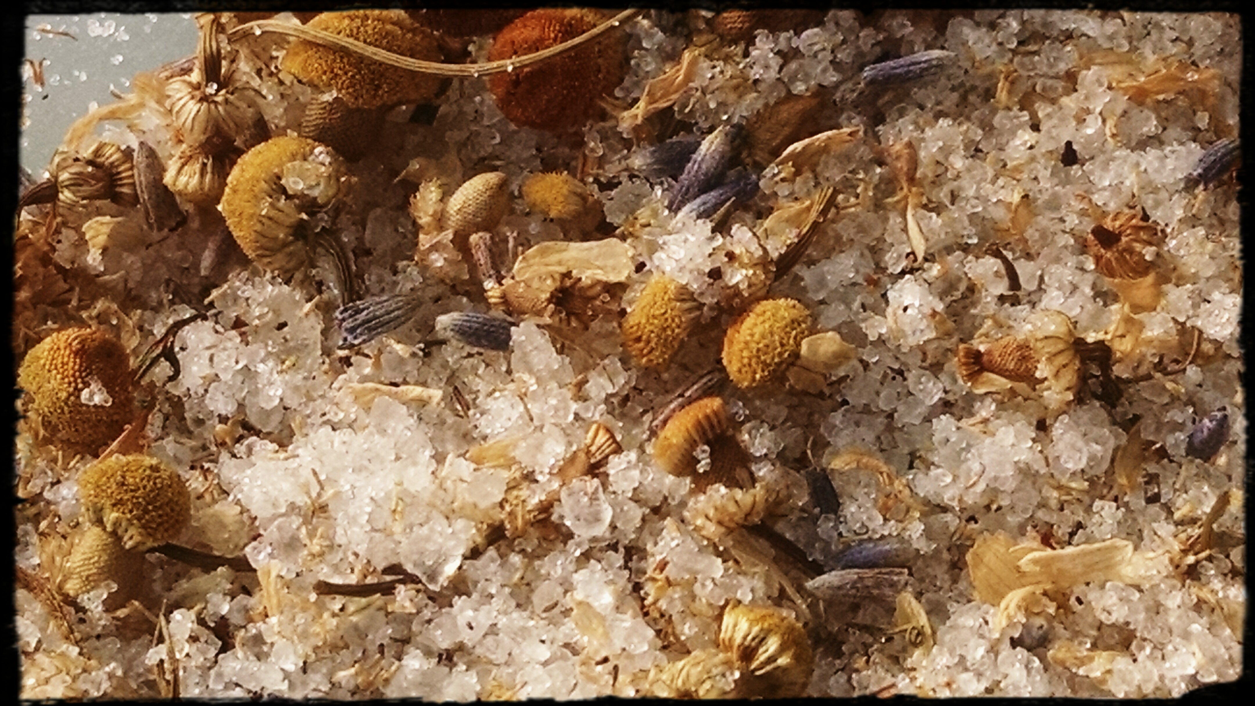 Green Tea Bath Soak 4oz · PumpleDaisy Soap Factory · Online Store