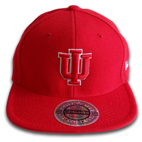 "Psi" Kappa Alpha Psi Snapback Cap