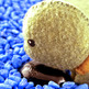 Oceanic_20creatures_20015_small