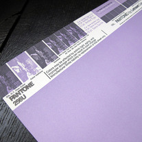 Vintage PANTONE® Poster - 256U
