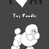 Toy Poodle, 5x7 print